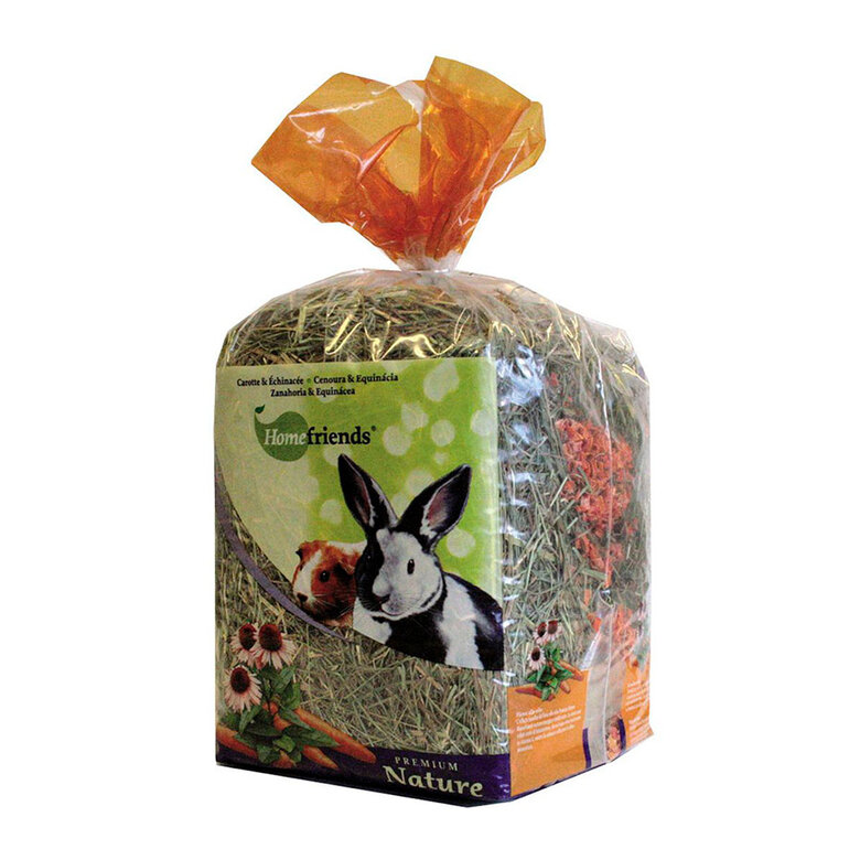 Home Friends Heno Cenoura para roedores,  Imagem número 1 Home Friends Heno Cenoura para roedores, , large Imagem número 1