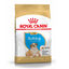 Royal Canin Puppy Bulldog ração para cães, , large Indicador imagem número 2