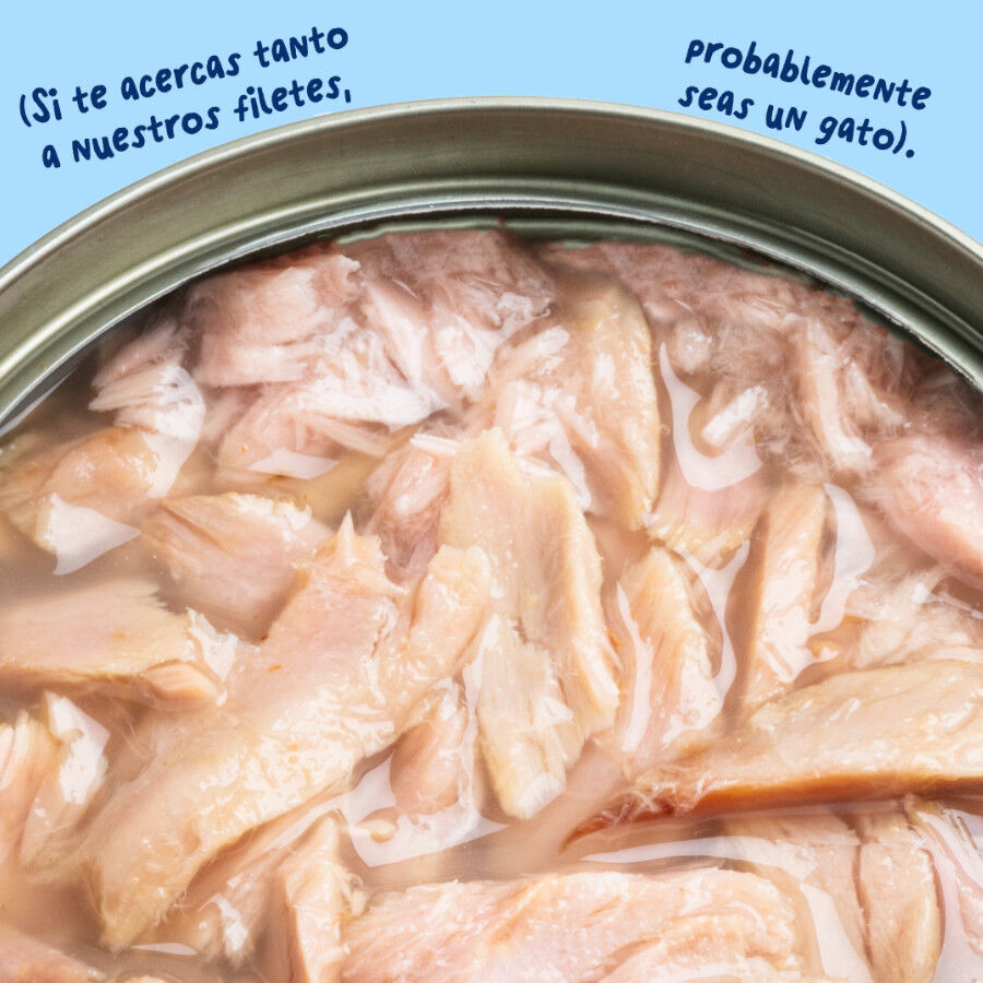 70 g Edgard & Cooper Alimento h&uacute;mido de atum em lata para gatos, , large Imagem n&uacute;mero 5