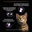 85 g Purina Pro Plan Baby Kitten Mousse lata, , large Indicador imagem número 4