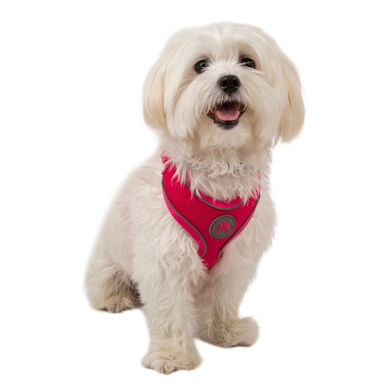 TK-Pet Soft Peitoral Refletor Rosa para cães