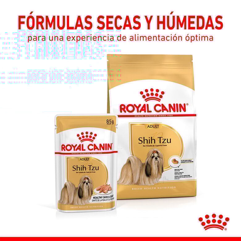 85 g Royal Canin Adult Shih Tzu Patê,  Imagem número 6 85 g Royal Canin Adult Shih Tzu Patê, , large Imagem número 6