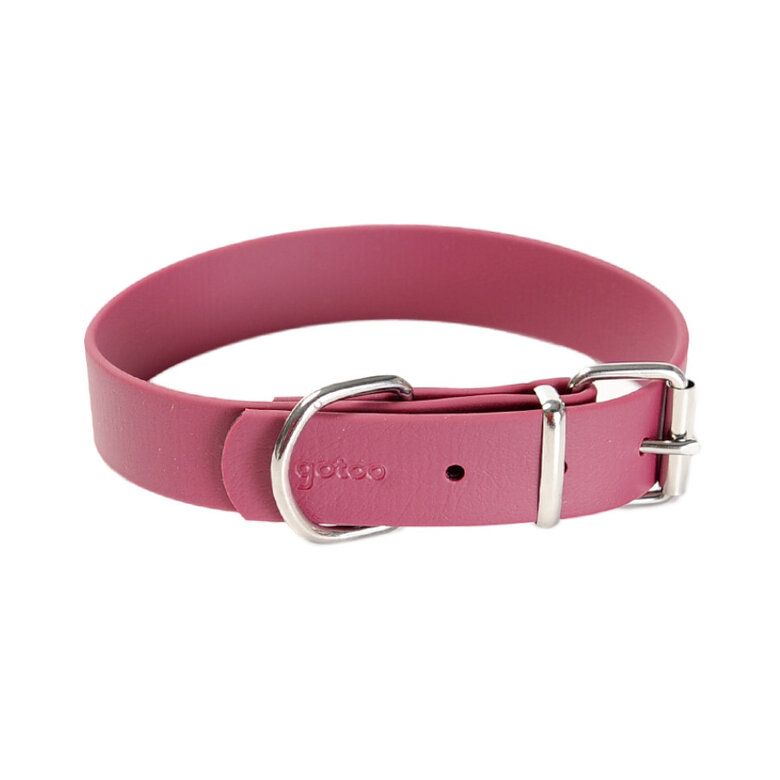 Gotoo Coleira Biothane vermelho vinho para cães,  Imagem número 1 Gotoo Coleira Biothane vermelho vinho para cães, , large Imagem número 1