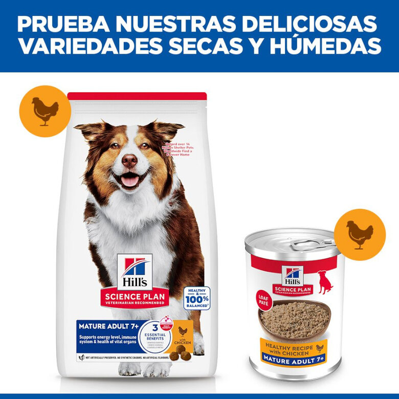 370 g Hill's Science Plan Mature 7+ Adult frango em lata para cães,  Imagem número 4 370 g Hill's Science Plan Mature 7+ Adult frango em lata para cães, , large Imagem número 4
