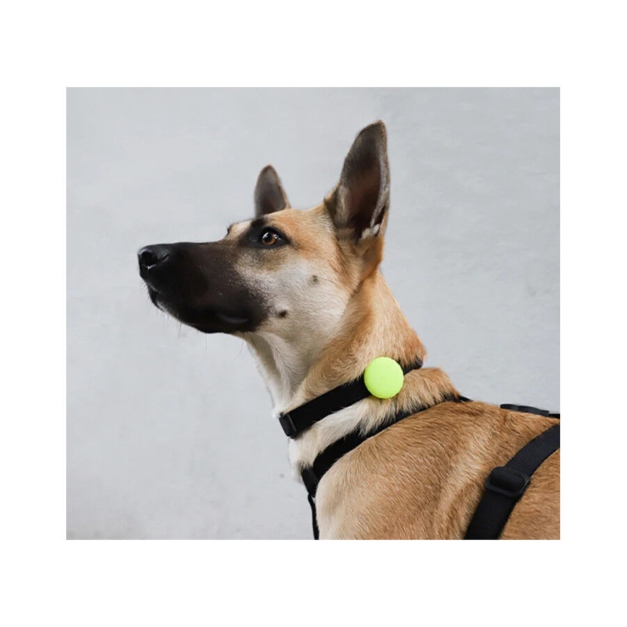 Zee Dog Lime Funda para Air Tag para perros, , large Imagem n&uacute;mero 2