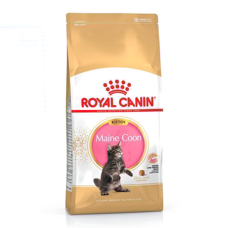 10 kg Royal Canin Kitten Maine Coon ração para gatinhos,  Imagem número 1 10 kg Royal Canin Kitten Maine Coon ração para gatinhos, , large Imagem número 1
