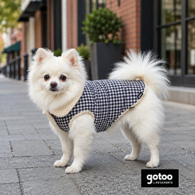 Gotoo Casaco Azul com Padr&atilde;o Vichy para c&atilde;es