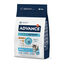 10 kg Advance Active Defense Frango e Arroz ra&ccedil;&atilde;o para gatinhos, , large Indicador imagem n&uacute;mero 1