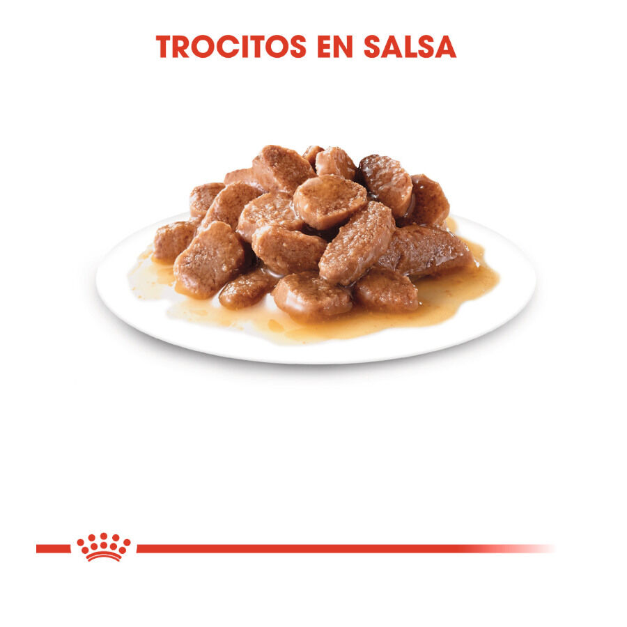 85 g Royal Canin Ultra Light saquetas para gatos, , large Imagem n&uacute;mero 4