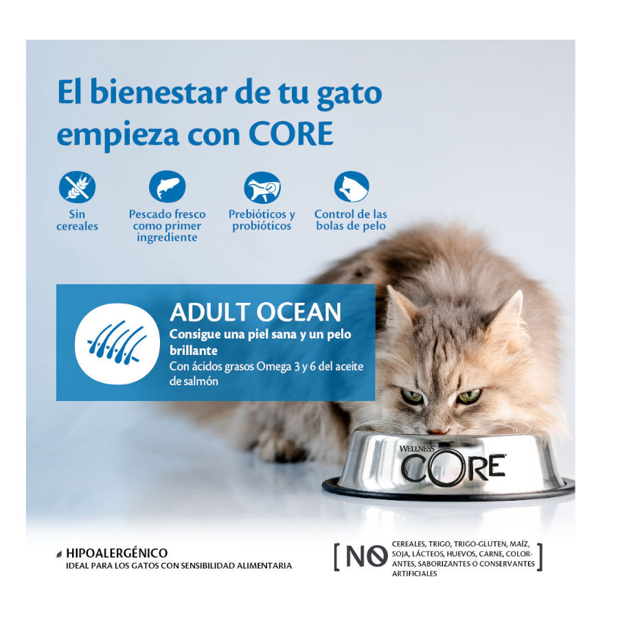 4 kg Wellness Core Adult Ocean Salm&atilde;o e Atum ra&ccedil;&atilde;o para gatos, , large Imagem n&uacute;mero 2