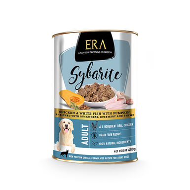 Era Sybarite Adulto Frango, Peixe e Abóbora patê em lata para cães 