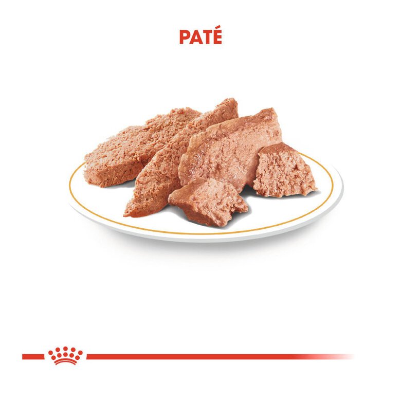85 g Royal Canin Adult Chihuahua patê em saquetas para cães,  Imagem número 5 85 g Royal Canin Adult Chihuahua patê em saquetas para cães, , large Imagem número 5