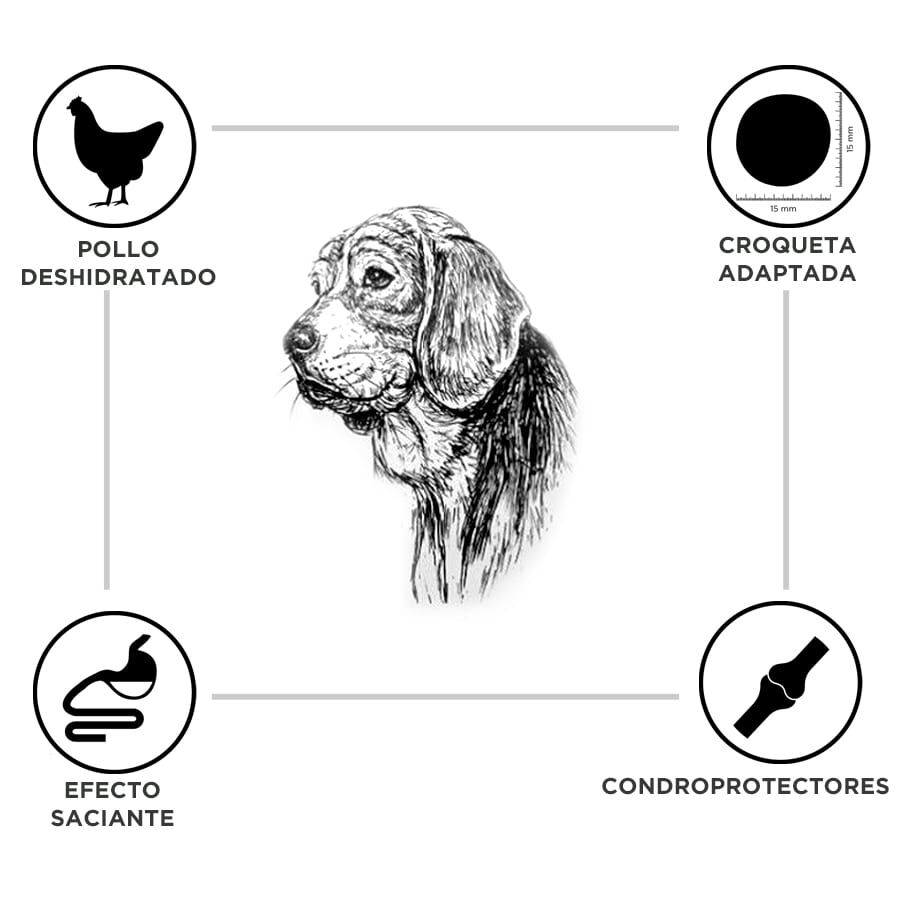 15 kg Criadores Adulto Light Frango ra&ccedil;&atilde;o para c&atilde;es de porte m&eacute;dio e grande, , large Imagem n&uacute;mero 3