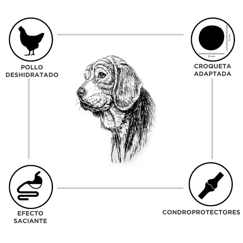 Criadores Adulto Light ração para cães raças médias e grandes, , large image number null