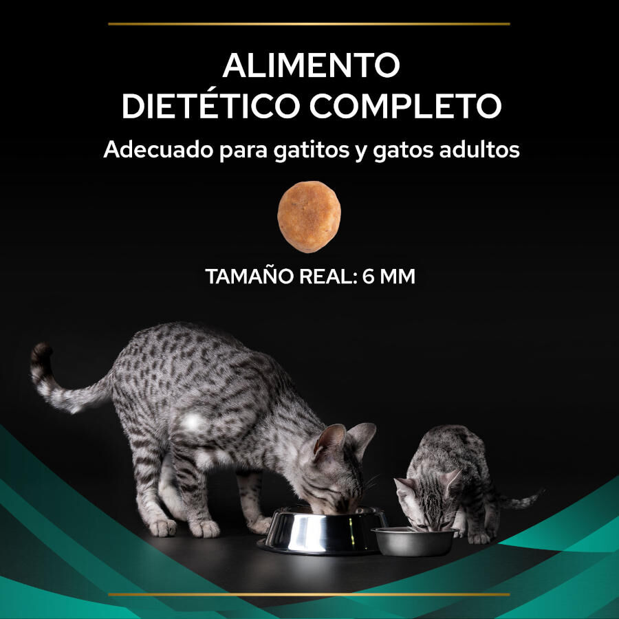 5 kg Pro Plan Veterinary Diets Gastrointestinal EN ra&ccedil;&atilde;o para gatos, , large Imagem n&uacute;mero 3