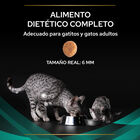 Pro Plan Veterinary Diets Gastrointestinal EN ração para gatos, , large image number null