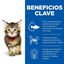 12 saquetas x 85 g Hill's Kittenn Science Plan Frango e Peixe saqueta para gatos - Multipack  12, , large Indicador imagem número 3