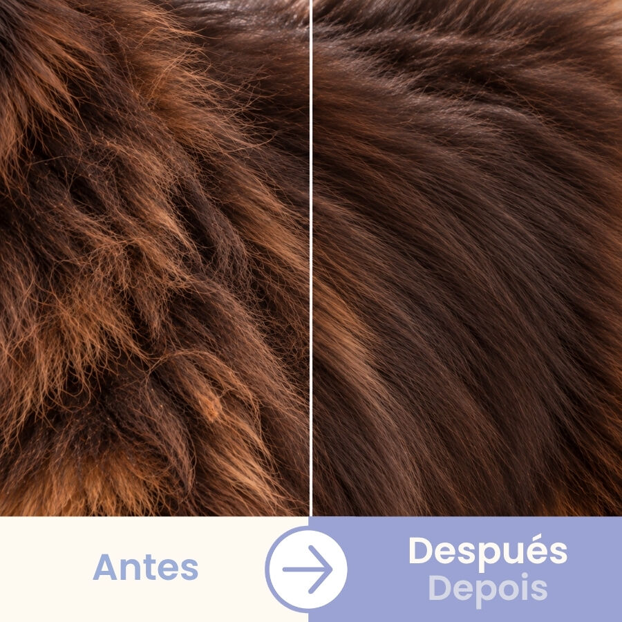 Bloob Escova Removedora de subpelo para c&atilde;es, , large Imagem n&uacute;mero 5