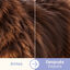 Bloob Escova Removedora de subpelo para c&atilde;es, , large Indicador imagem n&uacute;mero 5
