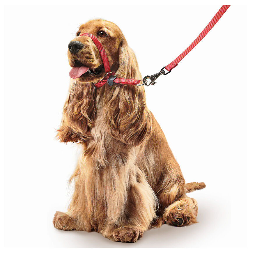 Beaphar Gentle Leader A&ccedil;aime vermelho para c&atilde;es, , large Imagem n&uacute;mero 2
