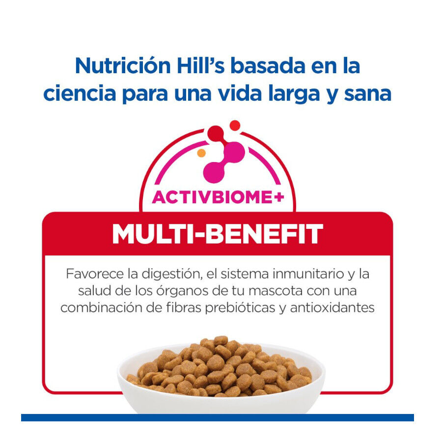 1.5 kg Hill's Science Plan Ra&ccedil;&atilde;o de salm&atilde;o para gatinhos, , large Imagem n&uacute;mero 8