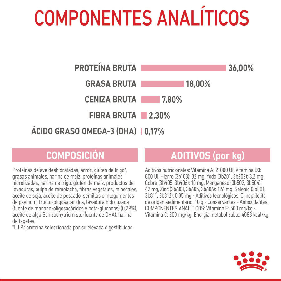 10 kg Royal Canin Kitten ra&ccedil;&atilde;o para gatos, , large Imagem n&uacute;mero 9