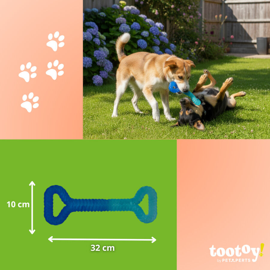 Tootoy! Chew Mordedor pegar e puxar para c&atilde;es, , large Imagem n&uacute;mero 4