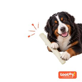 Tootoy! Chase Brinquedo Bast&atilde;o Luminoso Verde para c&atilde;es
