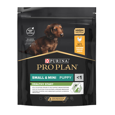 Pro Plan Puppy Small & Mini Healthy Start Frango ração