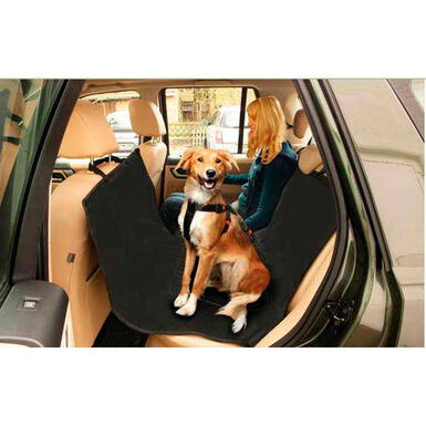 Flamingo Capa de carro para cães