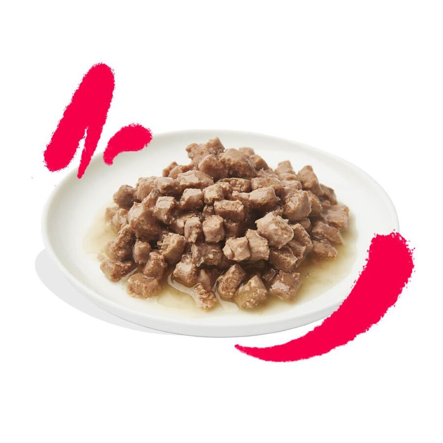 85 g Edgard & Cooper Senior Alimento h&uacute;mido de frango e peru em lata para gatos   , , large Imagem n&uacute;mero 2