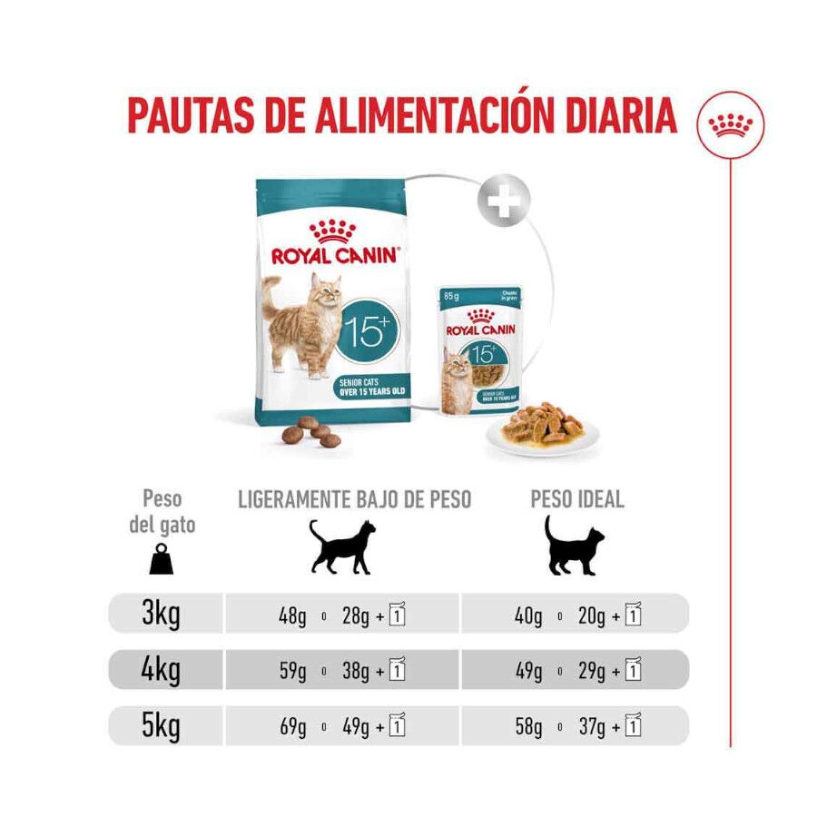 4 kg Royal Canin Ageing +15 Ra&ccedil;&atilde;o para gato s&eacute;nior, , large Imagem n&uacute;mero 8