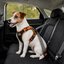Outech X-perience Arn&ecirc;s de Carro para c&atilde;es, , large Indicador imagem n&uacute;mero 2