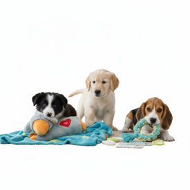 All For Paws Pups Kit de brinquedos para cachorros