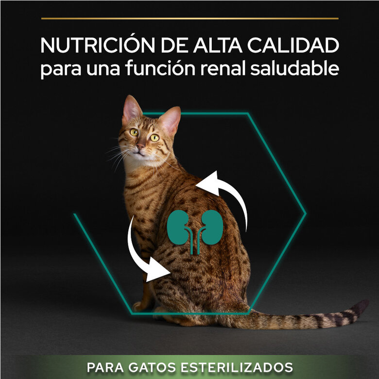 12 kg (10 + 2 kg grátis!) Pro Plan Adult Sterilized Salmão ração para gatos,  Imagem número 5 12 kg (10 + 2 kg grátis!) Pro Plan Adult Sterilized Salmão ração para gatos, , large Imagem número 5