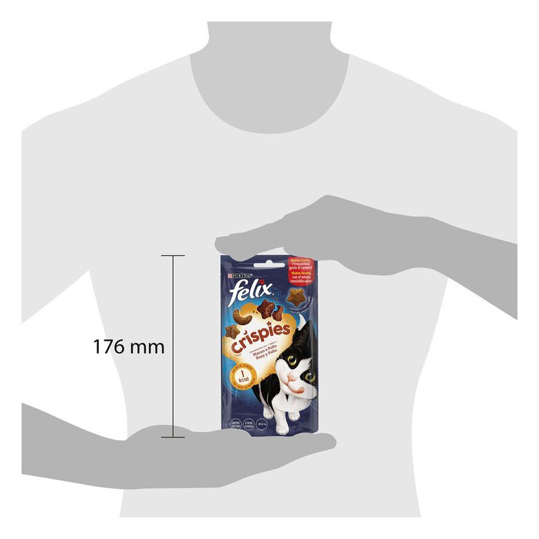 45 g Felix Biscoitos Crispies boi e frango para gatos,  Imagem número 9 45 g Felix Biscoitos Crispies boi e frango para gatos, , large Imagem número 9
