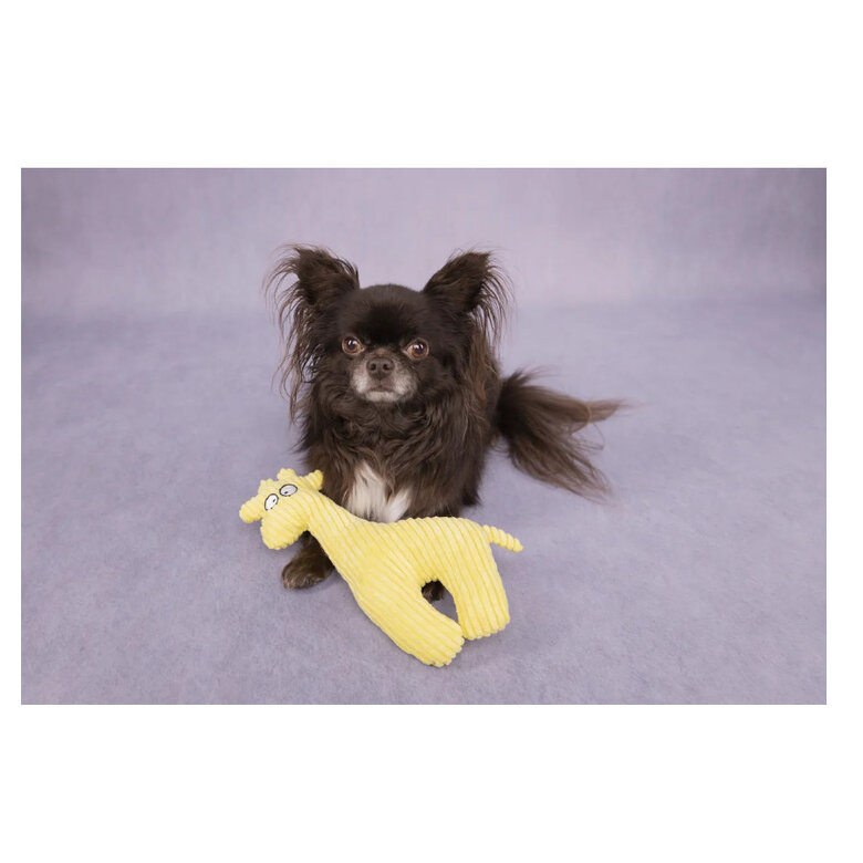 Flamingo Pebbles Girafa de Peluche Amarela para cães,  Imagem número 2 Flamingo Pebbles Girafa de Peluche Amarela para cães, , large Imagem número 2