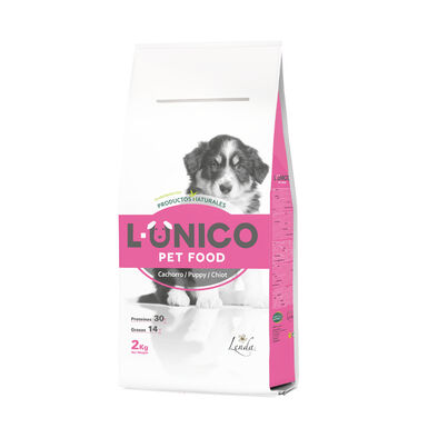 Lenda Único Puppy ração seca para cachorros