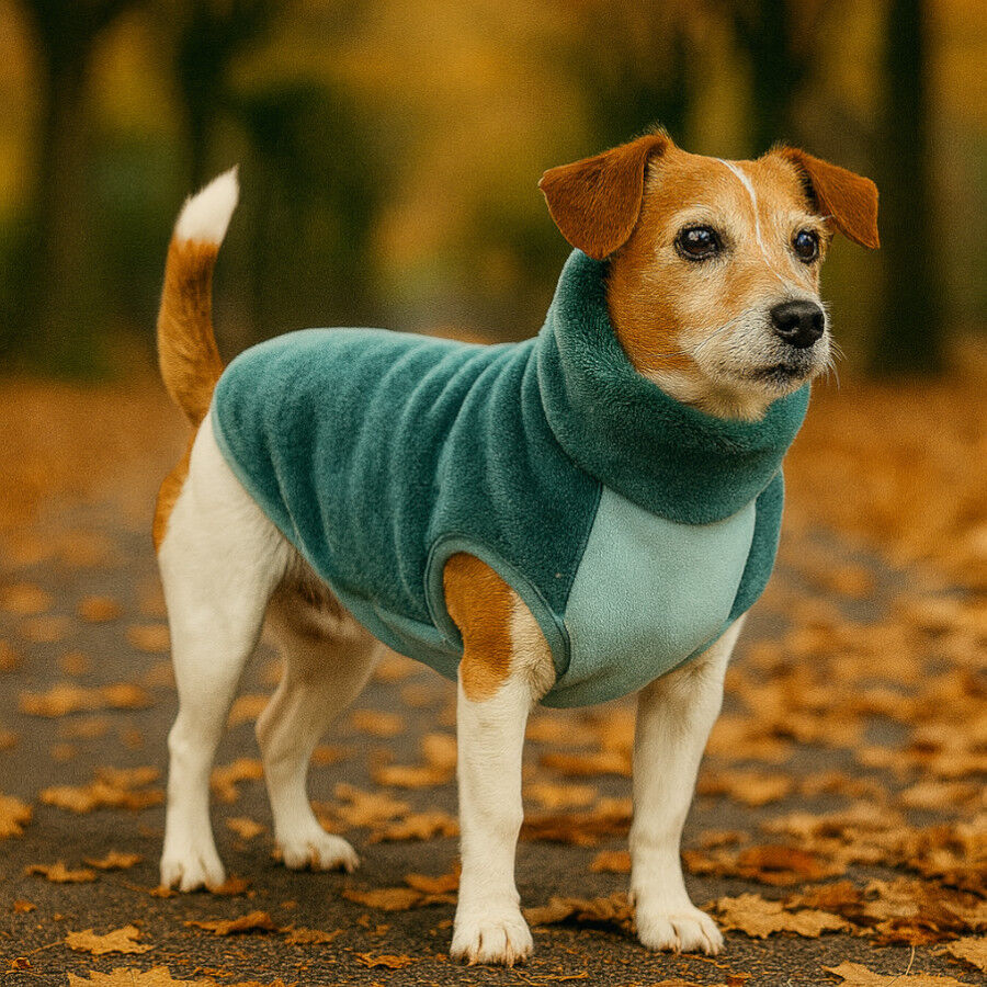 Outech Casaco polar Aguamarina para c&atilde;es, , large Imagem n&uacute;mero 1