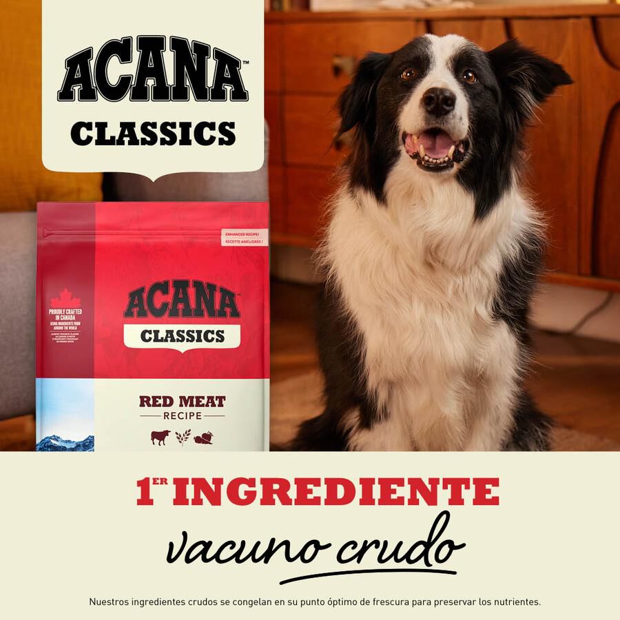 9.7 kg Acana Classic Red Meat Borrego Ra&ccedil;&atilde;o para c&atilde;es, , large Imagem n&uacute;mero 2