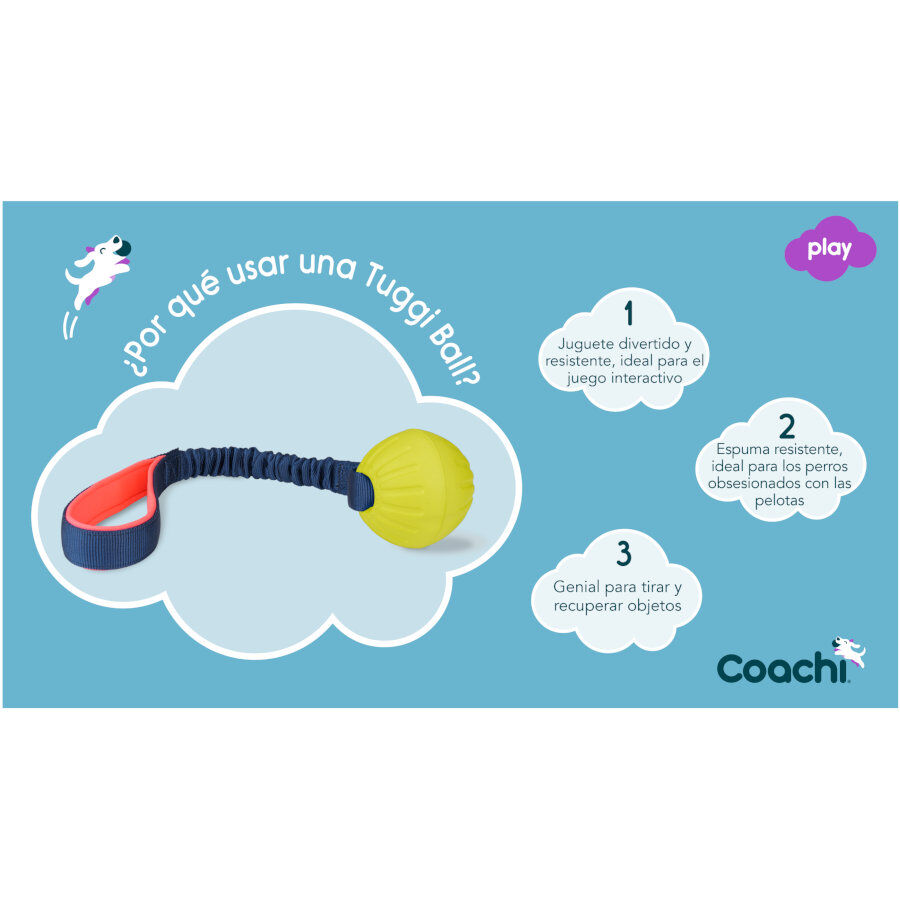 Coachi Tuggi Ball brinquedo para c&atilde;es, , large Imagem n&uacute;mero 3