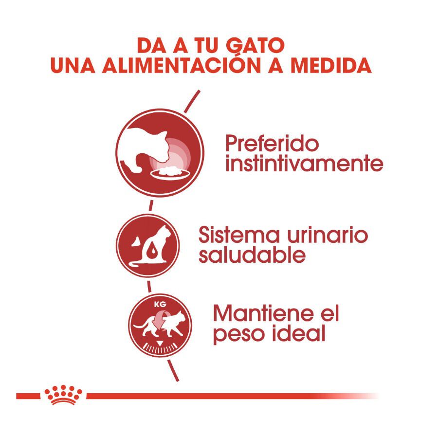 85 g Royal Canin Instinctive alimento h&uacute;mido em molho saquetas para gatos, , large Imagem n&uacute;mero 5