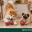 Wonder Christmas Osso e Bola Brinquedo para c&atilde;es, , large Indicador imagem n&uacute;mero 2