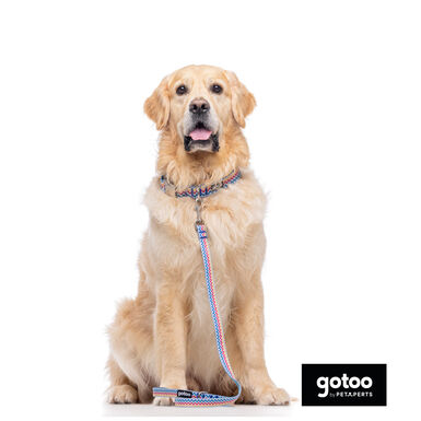 Gotoo Trela Estampada com Riscas Zig-Zag para Cães