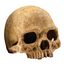 Exoterra Refugio calavera para terrarios, , large Indicador imagem n&uacute;mero 1