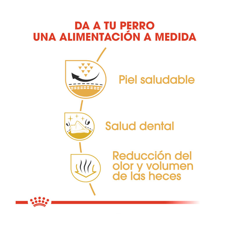 1.5 kg Royal Canin Adult Shih Tzu ração para cães,  Imagem número 6 1.5 kg Royal Canin Adult Shih Tzu ração para cães, , large Imagem número 6