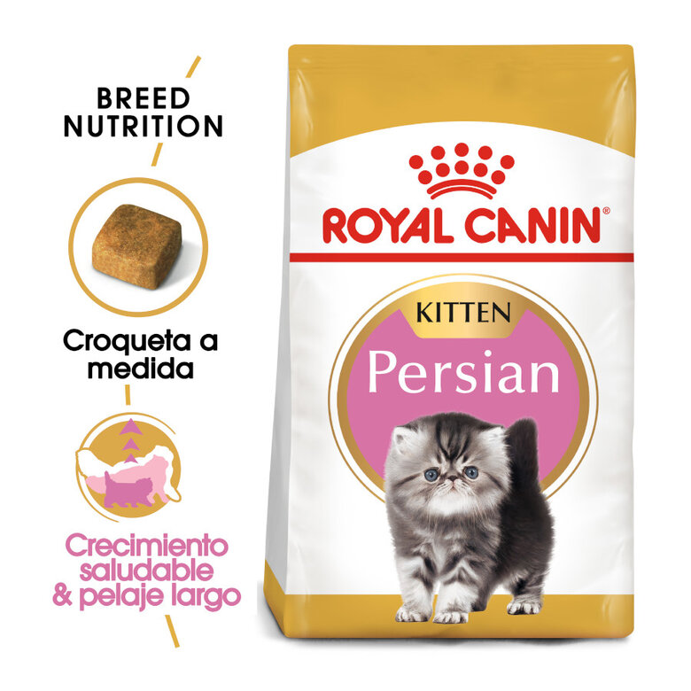Royal Canin Kitten Persa ração para gatinhos, , large image number null