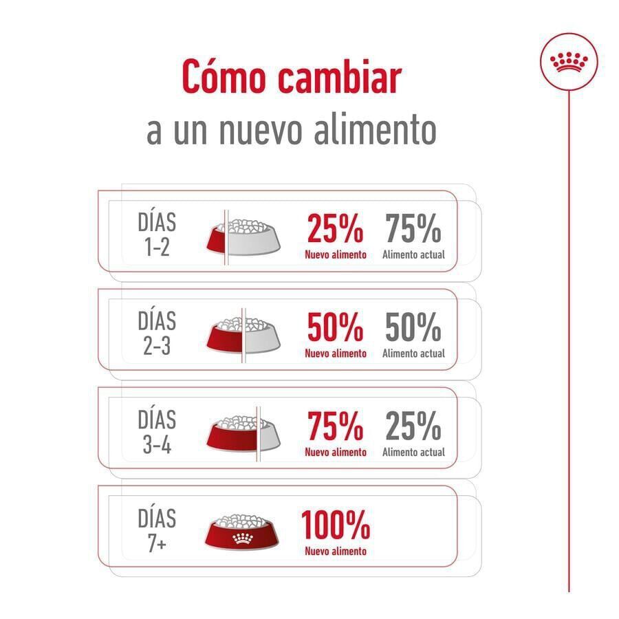 9 kg (8 + 1 kg &iexcl;gratis!) Royal Canin Mini Adult ra&ccedil;&atilde;o para c&atilde;es, , large Imagem n&uacute;mero 10