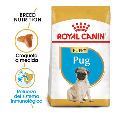 Royal Canin Puppy Pug ração para cães