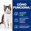82 g Hill’s Prescription Diet Gastrointestinal Biome Stress estufado lata para gatos, , large Indicador imagem número 5